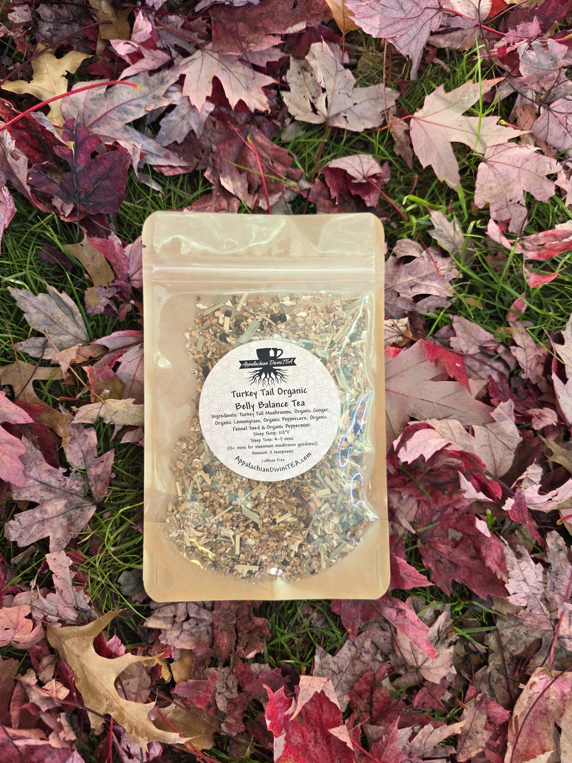 Turkey Tail Organic Belly Balance Tea - Image 2