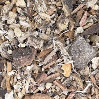 Cordyceps Organic Breathe Deep Tea